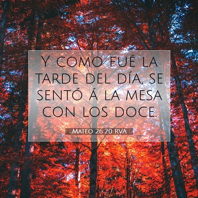 Picture 07 - Mateo 26:20 RVA - Y como fué la tarde del día, se sentó á la - Bible Verse Picture