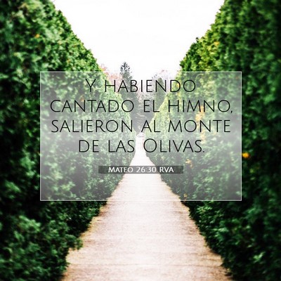 Picture 07 - Mateo 26:30 RVA - Y habiendo cantado el himno, salieron al monte de - Bible Verse Picture