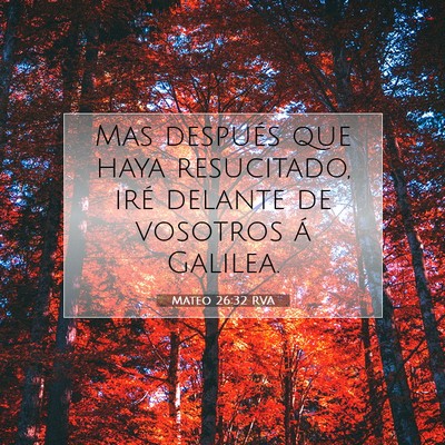 Picture 07 - Mateo 26:32 RVA - Mas después que haya resucitado, iré delante de - Bible Verse Picture