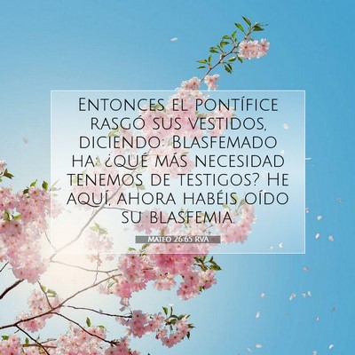 Picture 07 - Mateo 26:65 RVA - Entonces el pontífice rasgó sus vestidos, - Bible Verse Picture