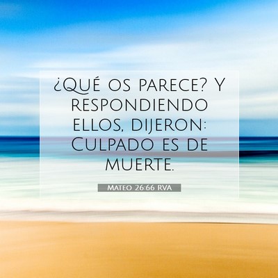 Picture 07 - Mateo 26:66 RVA - ¿Qué os parece? Y respondiendo ellos, dijeron: - Bible Verse Picture