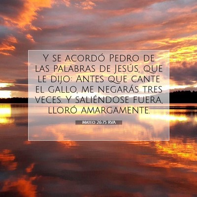 Picture 07 - Mateo 26:75 RVA - Y se acordó Pedro de las palabras de Jesús, que - Bible Verse Picture
