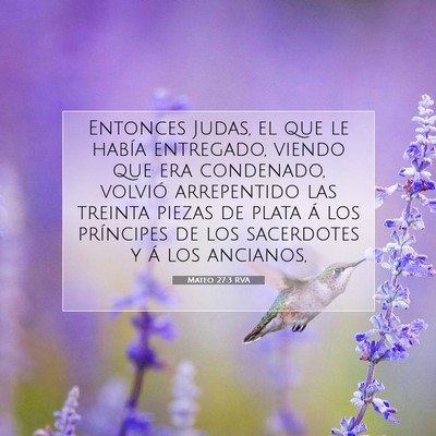 Picture 07 - Mateo 27:3 RVA - Entonces Judas, el que le había entregado, - Bible Verse Picture