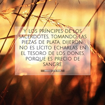 Picture 07 - Mateo 27:6 RVA - Y los príncipes de los sacerdotes, tomando las - Bible Verse Picture