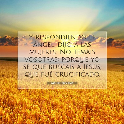 Picture 07 - Mateo 28:5 RVA - Y respondiendo el ángel, dijo á las mujeres: No - Bible Verse Picture