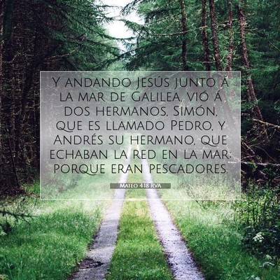 Picture 07 - Mateo 4:18 RVA - Y andando Jesús junto á la mar de Galilea, vió - Bible Verse Picture