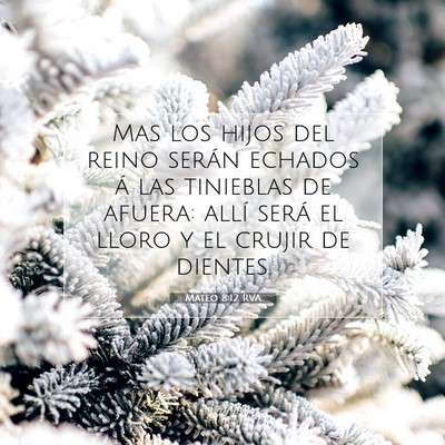 Picture 07 - Mateo 8:12 RVA - Mas los hijos del reino serán echados á las - Bible Verse Picture