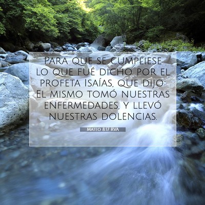 Picture 07 - Mateo 8:17 RVA - Para que se cumpliese lo que fué dicho por el - Bible Verse Picture