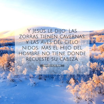 Picture 07 - Mateo 8:20 RVA - Y Jesús le dijo: Las zorras tienen cavernas, y - Bible Verse Picture