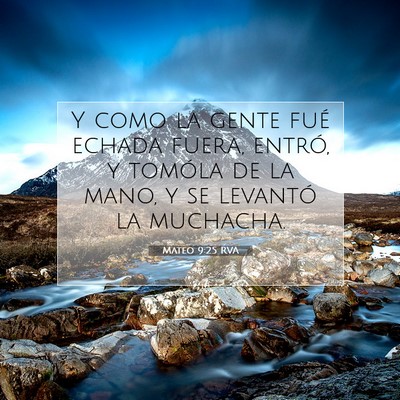 Picture 07 - Mateo 9:25 RVA - Y como la gente fué echada fuera, entró, y - Bible Verse Picture