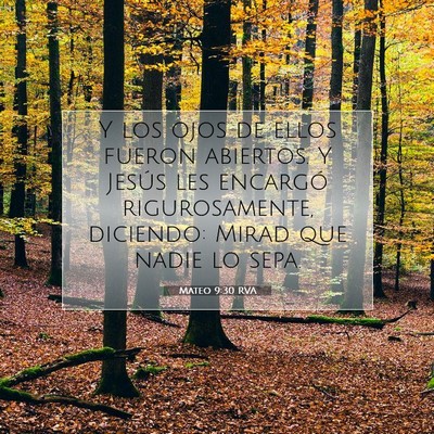 Picture 07 - Mateo 9:30 RVA - Y los ojos de ellos fueron abiertos. Y Jesús les - Bible Verse Picture