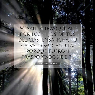 Picture 07 - Miqueas 1:16 RVA - Mésate y trasquílate por los hijos de tus - Bible Verse Picture