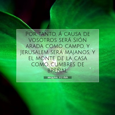 Picture 07 - Miqueas 3:12 RVA - Por tanto, á causa de vosotros será Sión arada - Bible Verse Picture