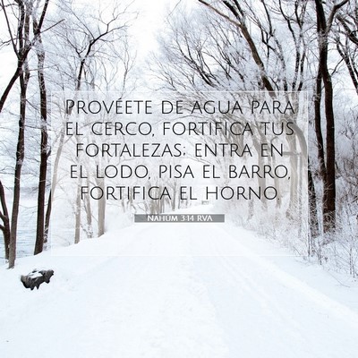 Picture 07 - Nahúm 3:14 RVA - Provéete de agua para el cerco, fortifica tus - Bible Verse Picture