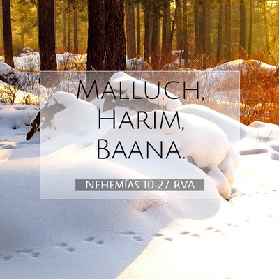 Picture 07 - Nehemías 10:27 RVA - Malluch, Harim, - Bible Verse Picture