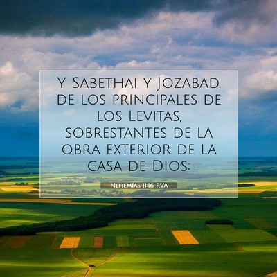 Picture 07 - Nehemías 11:16 RVA - Y Sabethai y Jozabad, de los principales de los - Bible Verse Picture