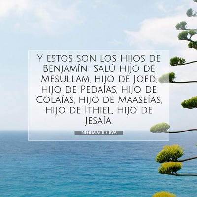 Picture 07 - Nehemías 11:7 RVA - Y estos son los hijos de Benjamín: Salú hijo de - Bible Verse Picture