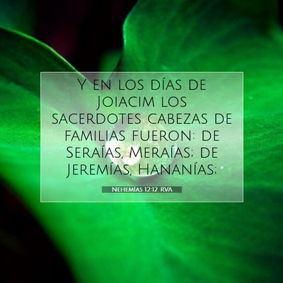 Picture 07 - Nehemías 12:12 RVA - Y en los días de Joiacim los sacerdotes cabezas - Bible Verse Picture