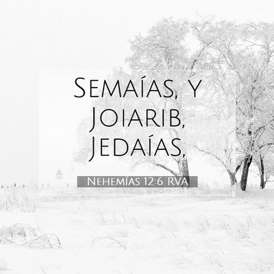 Picture 07 - Nehemías 12:6 RVA - Semaías, y Joiarib, - Bible Verse Picture
