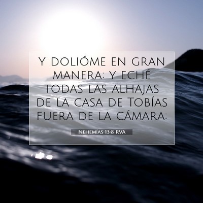 Picture 07 - Nehemías 13:8 RVA - Y dolióme en gran manera; y eché todas las - Bible Verse Picture