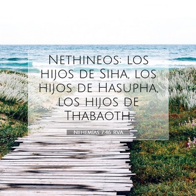 Picture 07 - Nehemías 7:46 RVA - Nethineos: los hijos de Siha, los hijos de - Bible Verse Picture