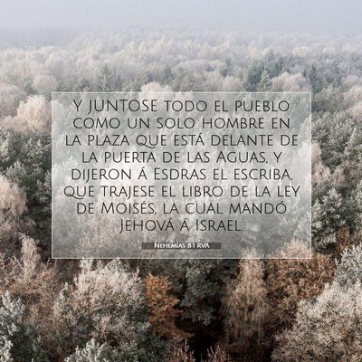 Picture 07 - Nehemías 8:1 RVA - Y JUNTOSE todo el pueblo como un solo hombre en - Bible Verse Picture