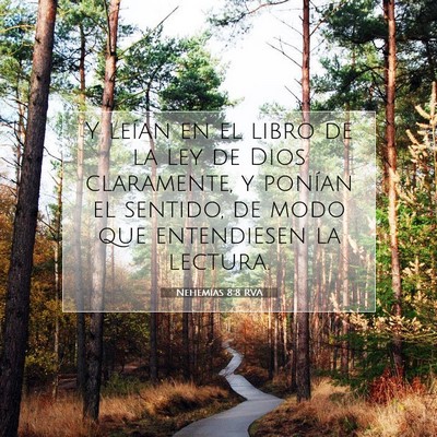 Picture 07 - Nehemías 8:8 RVA - Y leían en el libro de la ley de Dios - Bible Verse Picture