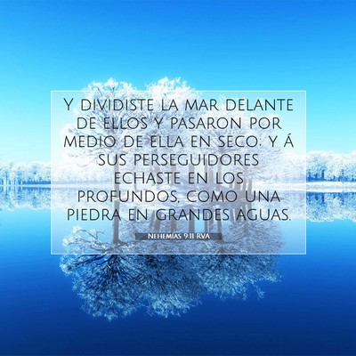 Picture 07 - Nehemías 9:11 RVA - Y dividiste la mar delante de ellos y pasaron por - Bible Verse Picture