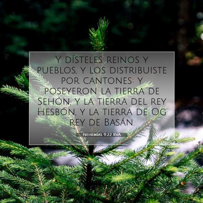 Picture 07 - Nehemías 9:22 RVA - Y dísteles reinos y pueblos, y los distribuiste - Bible Verse Picture