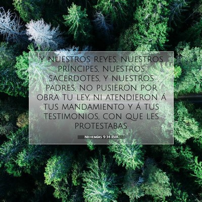Picture 07 - Nehemías 9:34 RVA - Y nuestros reyes, nuestros príncipes, nuestros - Bible Verse Picture