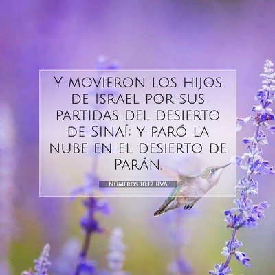 Picture 07 - Números 10:12 RVA - Y movieron los hijos de Israel por sus partidas - Bible Verse Picture