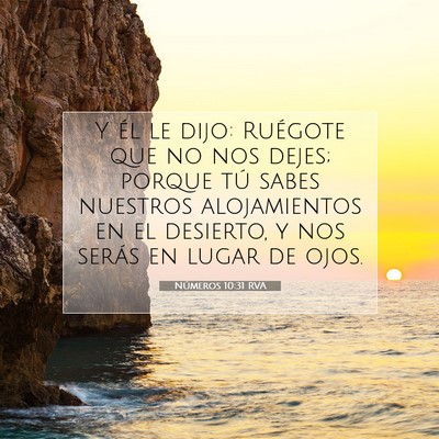Picture 07 - Números 10:31 RVA - Y él le dijo: Ruégote que no nos dejes; porque - Bible Verse Picture