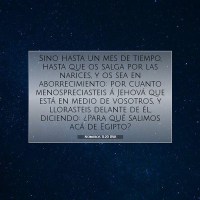 Picture 07 - Números 11:20 RVA - Sino hasta un mes de tiempo, hasta que os salga - Bible Verse Picture