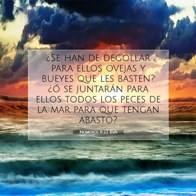 Picture 07 - Números 11:22 RVA - ¿Se han de degollar para ellos ovejas y bueyes - Bible Verse Picture