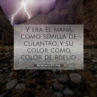 Picture 07 - Números 11:7 RVA - Y era el maná como semilla de culantro, y su - Bible Verse Picture