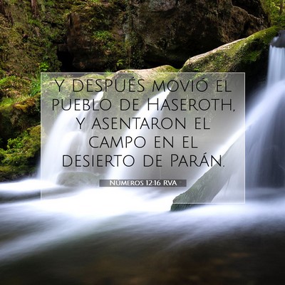 Picture 07 - Números 12:16 RVA - Y DESPUÉS movió el pueblo de Haseroth, y - Bible Verse Picture