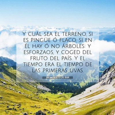 Picture 07 - Números 13:20 RVA - Y cuál sea el terreno, si es pingüe ó flaco, - Bible Verse Picture