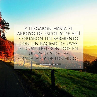 Picture 07 - Números 13:23 RVA - Y llegaron hasta el arroyo de Escol, y de allí - Bible Verse Picture