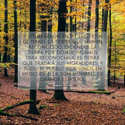 Picture 07 - Números 13:32 RVA - y vituperaron entre los hijos de Israel la tierra - Bible Verse Picture