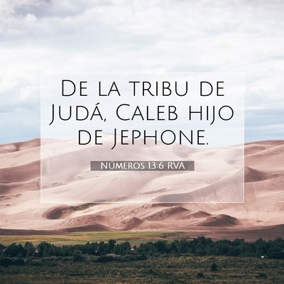 Picture 07 - Números 13:6 RVA - De la tribu de Judá, Caleb hijo de - Bible Verse Picture
