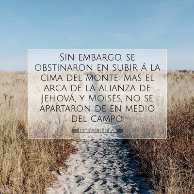 Picture 07 - Números 14:44 RVA - Sin embargo, se obstinaron en subir á la cima - Bible Verse Picture