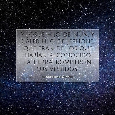Picture 07 - Números 14:6 RVA - Y Josué hijo de Nun, y Caleb hijo de Jephone, - Bible Verse Picture