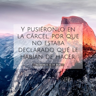 Picture 07 - Números 15:34 RVA - Y pusiéronlo en la cárcel, por que no estaba - Bible Verse Picture