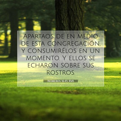 Picture 07 - Números 16:45 RVA - Apartaos de en medio de esta congregación, y - Bible Verse Picture
