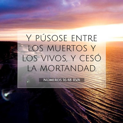 Picture 07 - Números 16:48 RVA - Y púsose entre los muertos y los vivos, y cesó - Bible Verse Picture