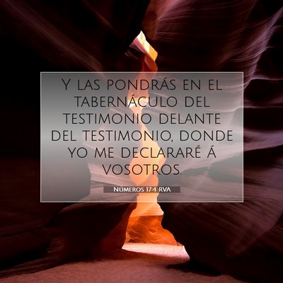 Picture 07 - Números 17:4 RVA - Y las pondrás en el tabernáculo del testimonio - Bible Verse Picture