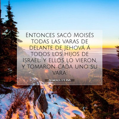 Picture 07 - Números 17:9 RVA - Entonces sacó Moisés todas las varas de delante - Bible Verse Picture