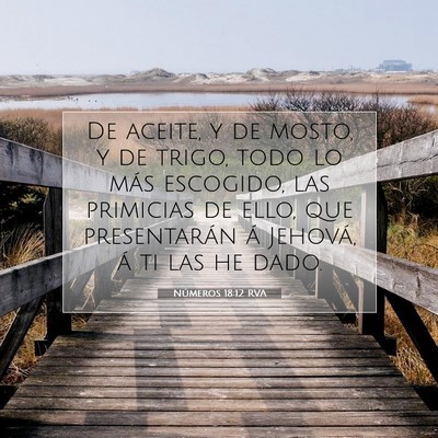 Picture 07 - Números 18:12 RVA - De aceite, y de mosto, y de trigo, todo lo más - Bible Verse Picture