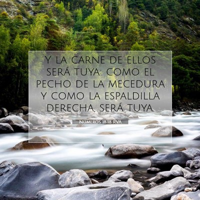Picture 07 - Números 18:18 RVA - Y la carne de ellos será tuya: como el pecho de - Bible Verse Picture