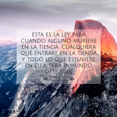 Picture 07 - Números 19:14 RVA - Esta es la ley para cuando alguno muriere en la - Bible Verse Picture